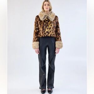 Anthropologie Hidden Tiger Jacket